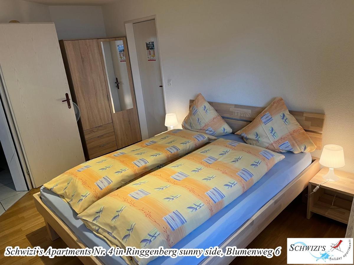 Schwizi'S Apartments Ringgenberg Kültér fotó