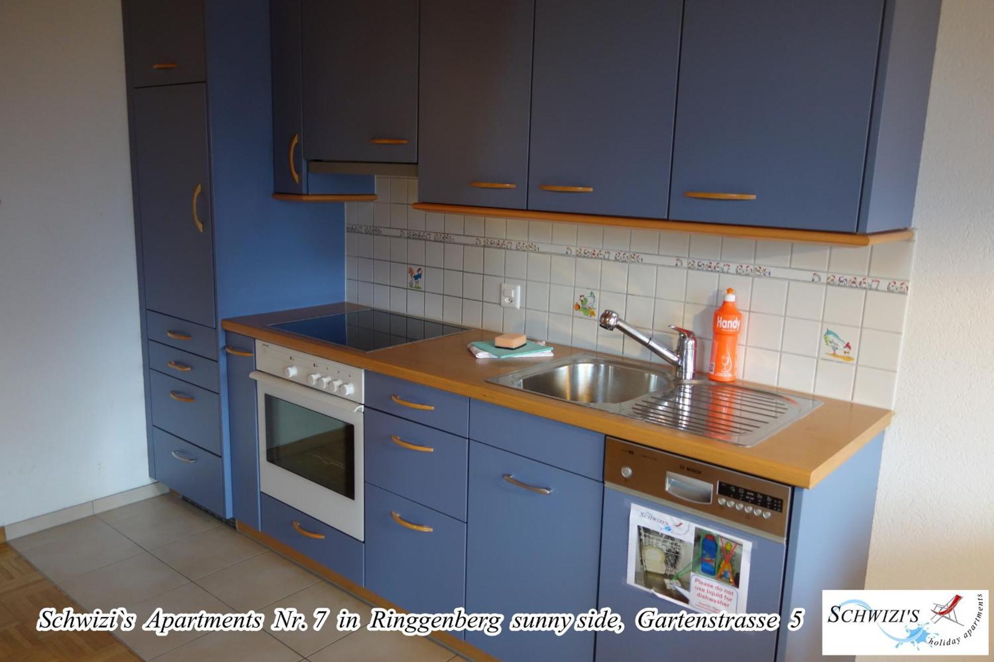 Schwizi'S Apartments Ringgenberg Kültér fotó